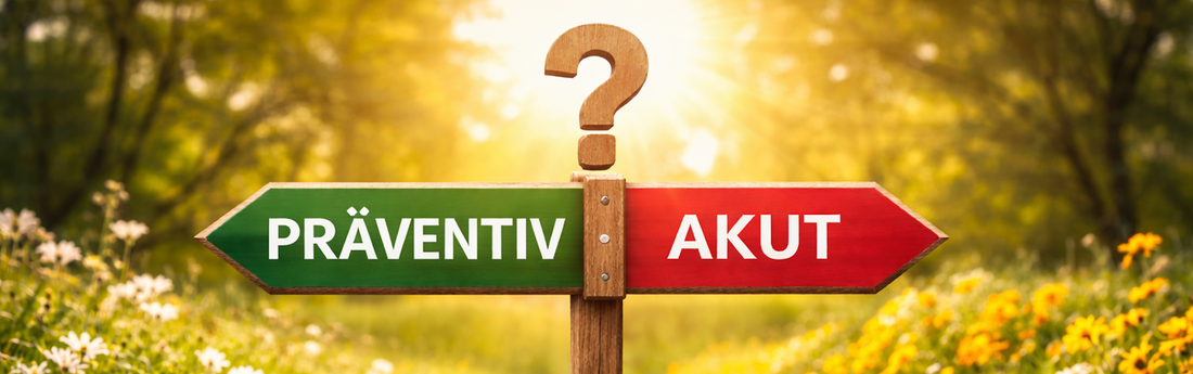 Akut oder präventiv handeln?