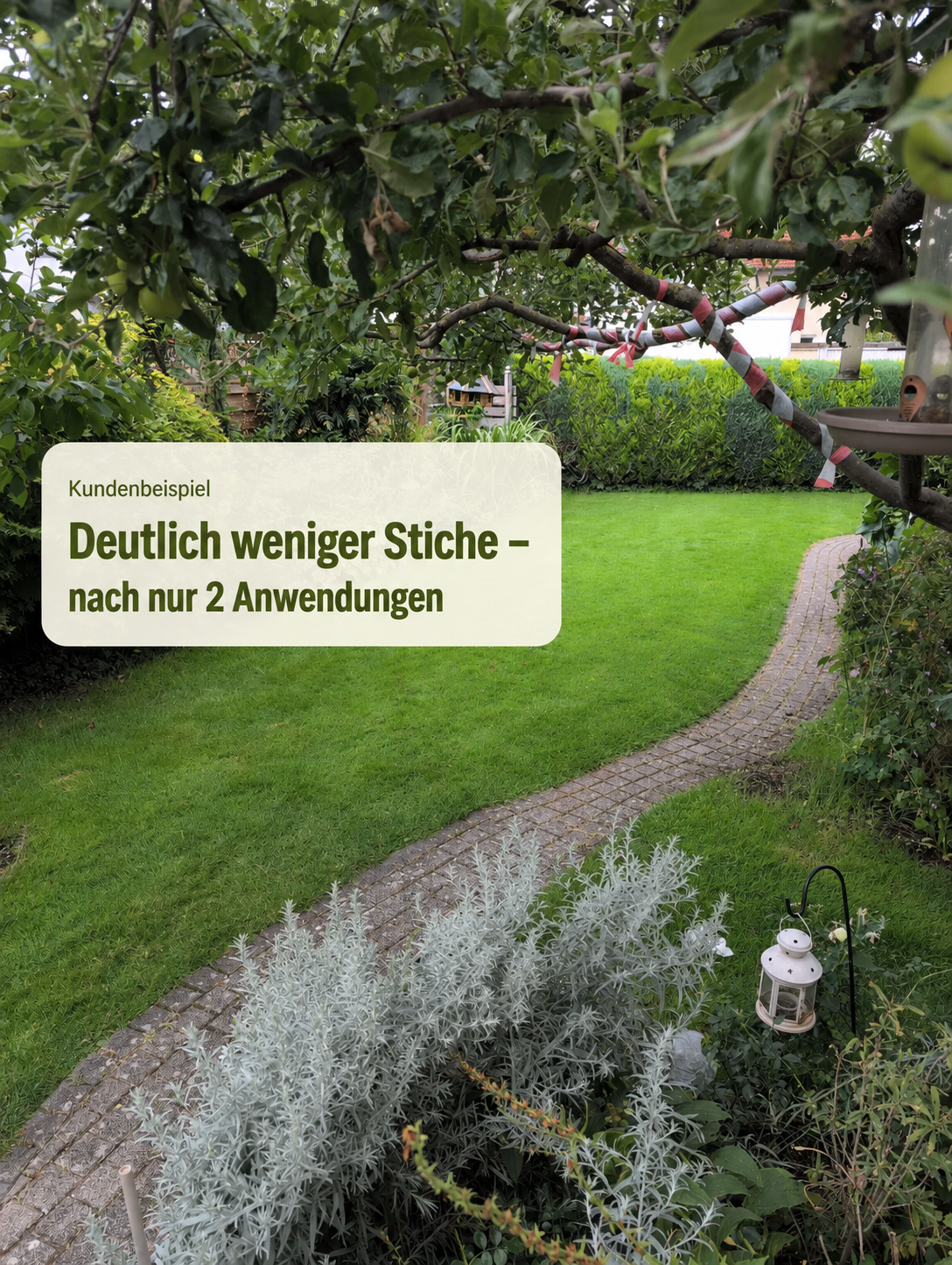 Jetzt Grasmilben bekämpfen und den Garten wieder genießen – dauerhaft & biologisch ohne Chemie